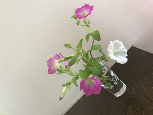 7月の予定です。